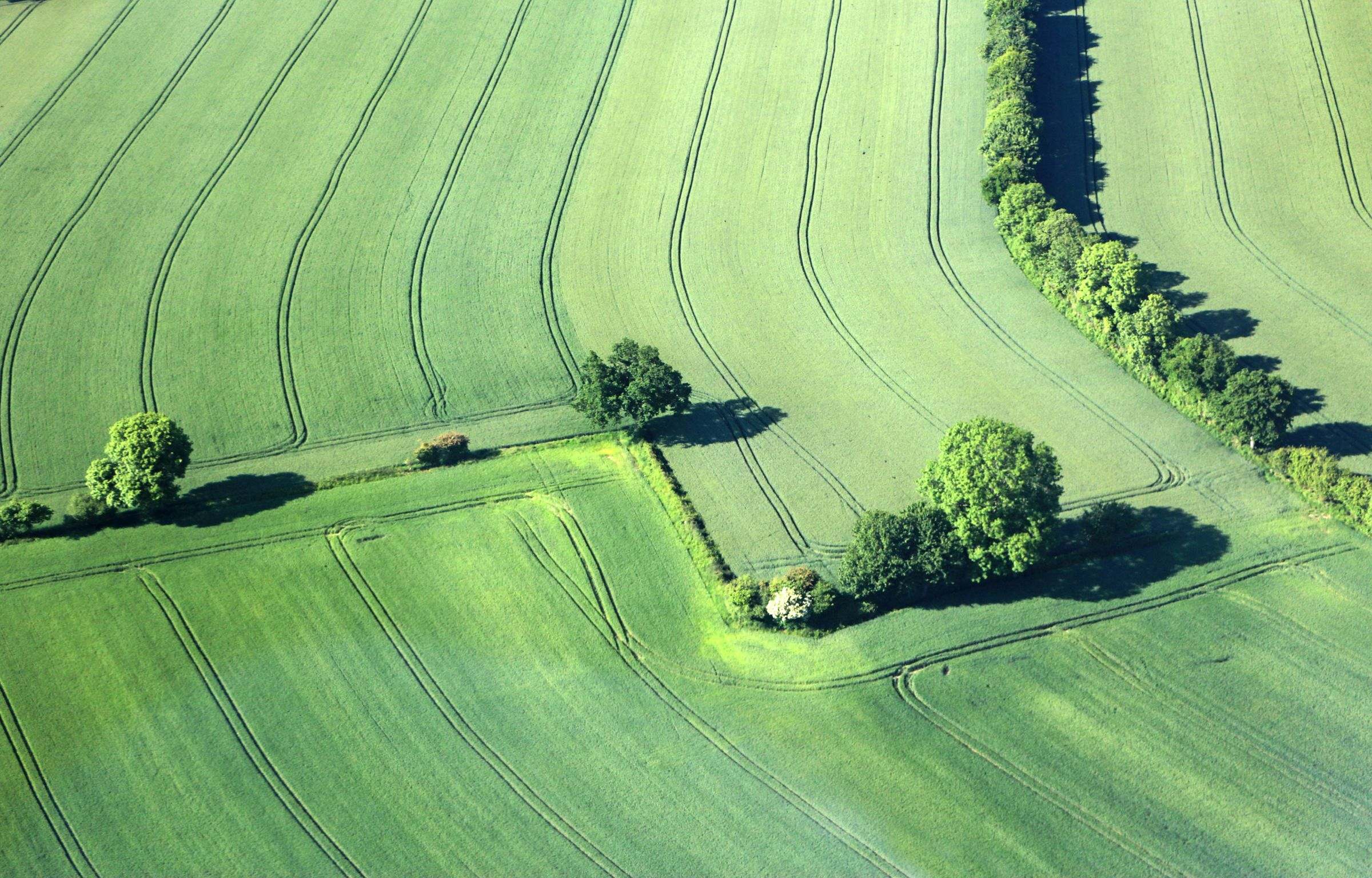 Vue aérienne de parcelles agricoles